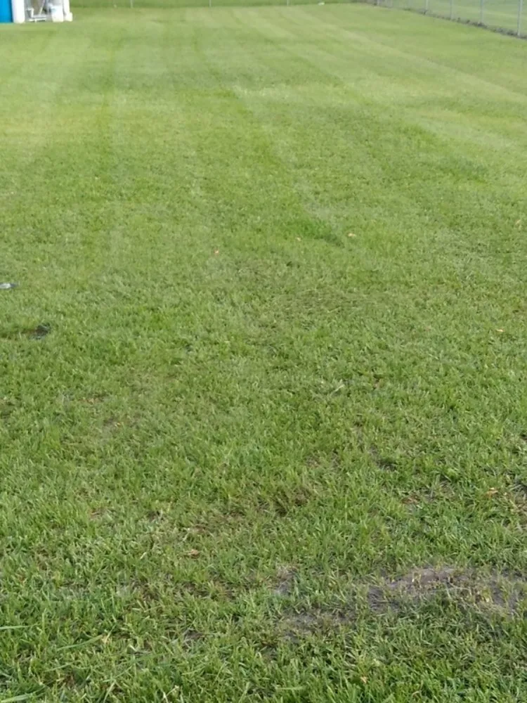 Affordable lawn care service for beautiful yards across Riverview, FL - Webber Lawn Care
