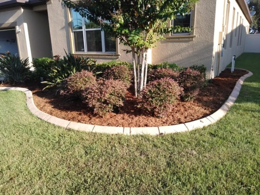 Reliable yard cleanup service experts serving Riverview, FL - Webber Lawn Care