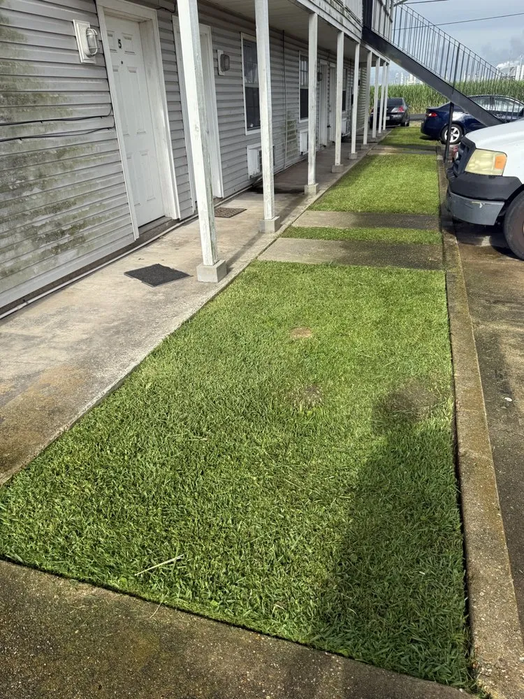 Local landscape installation in Kenner, LA - Webber Lawn Services