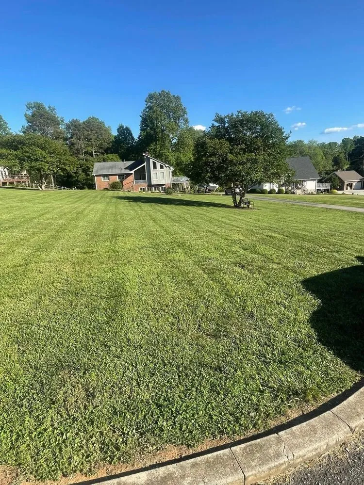 Reliable yard cleanup service for year-round maintenance in Gastonia, NC by Webber’s Ground Solutions Group
