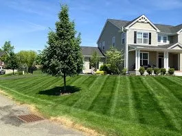 Local landscaping services for outdoor upgrades in Gastonia, NC by Webber’s Ground Solutions Group