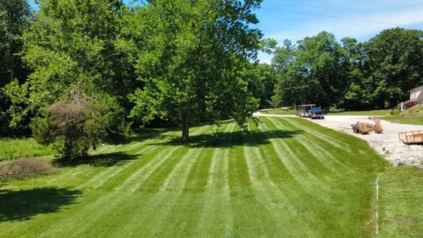 Webb's Grounds and Power Washing