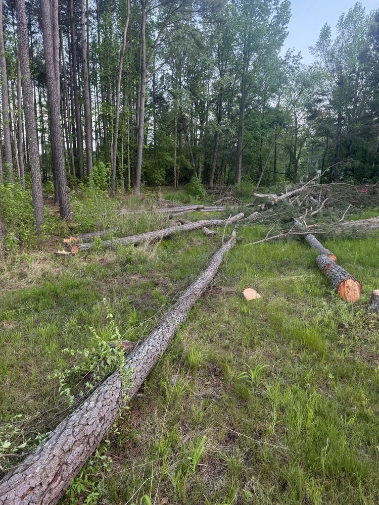 Professional landscape installation experts serving Rockingham, NC - Webbs Groundwork’s