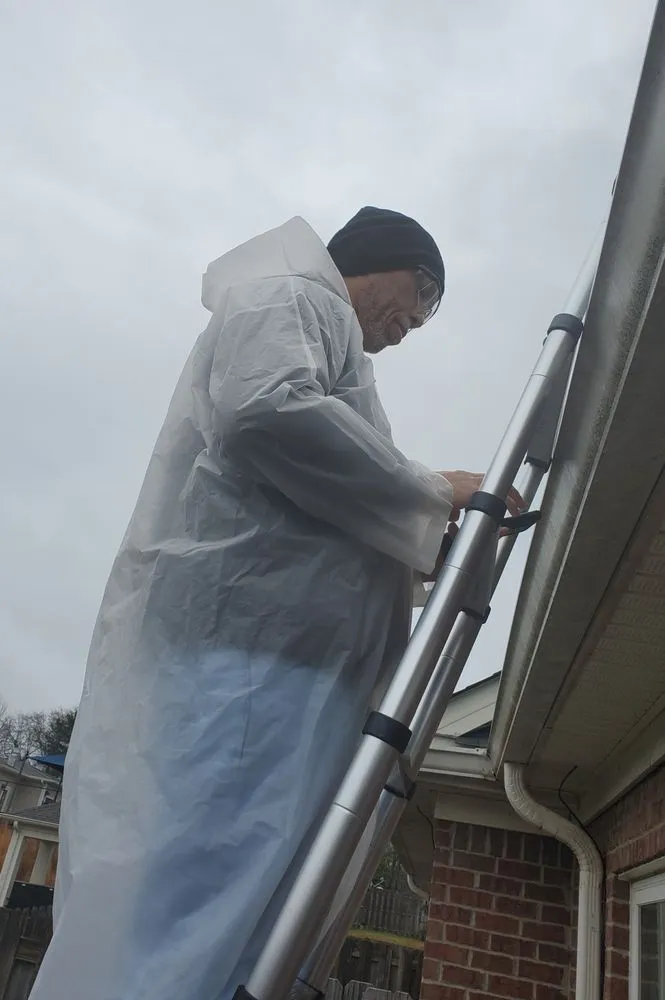 Professional yard cleanup service experts serving Hephzibah, GA - Webb's Handyman Home Solutions