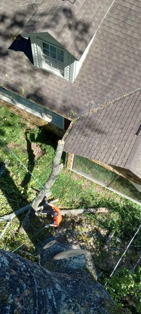 Professional landscape installation for year-round maintenance in Jackson, GA by Webb's Land Services