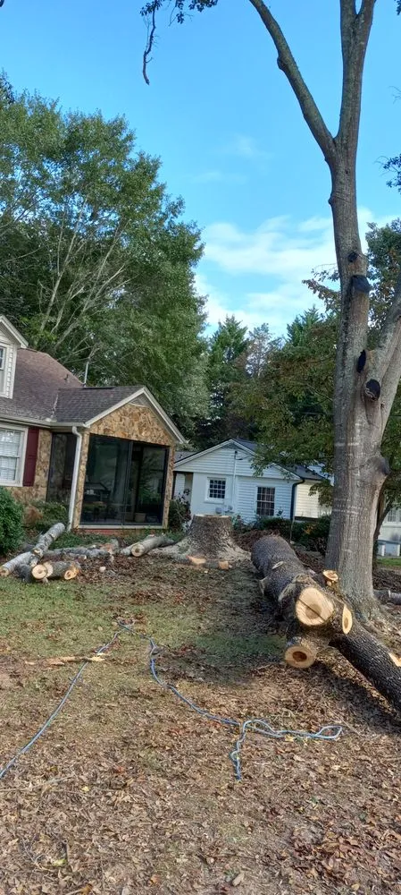 Expert lawn mowing service in Jackson, GA by Webb's Land Services