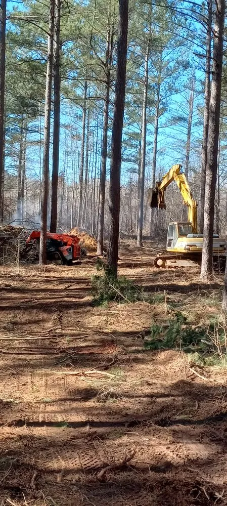 Expert residential landscaping for outdoor upgrades in Jackson, GA by Webb's Land Services
