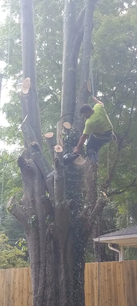 Affordable outdoor landscaping with custom design across Jackson, GA - Webb's Land Services