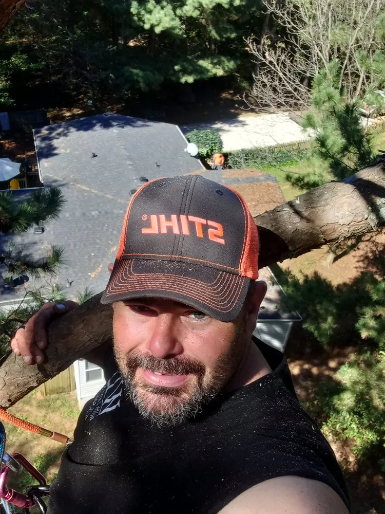 Reliable yard cleanup service experts serving Jackson, GA - Webb's Land Services