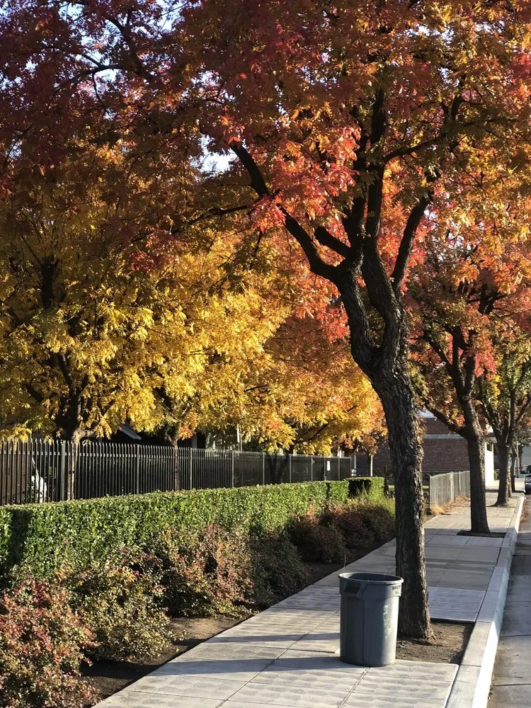 Professional landscape design for residential properties across Fresno, CA - Webb’s Landscape Maintenance