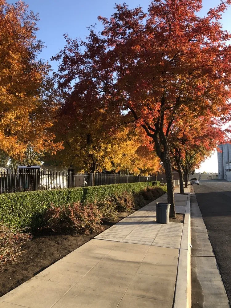 Custom lawn mowing service experts serving Fresno, CA - Webb’s Landscape Maintenance