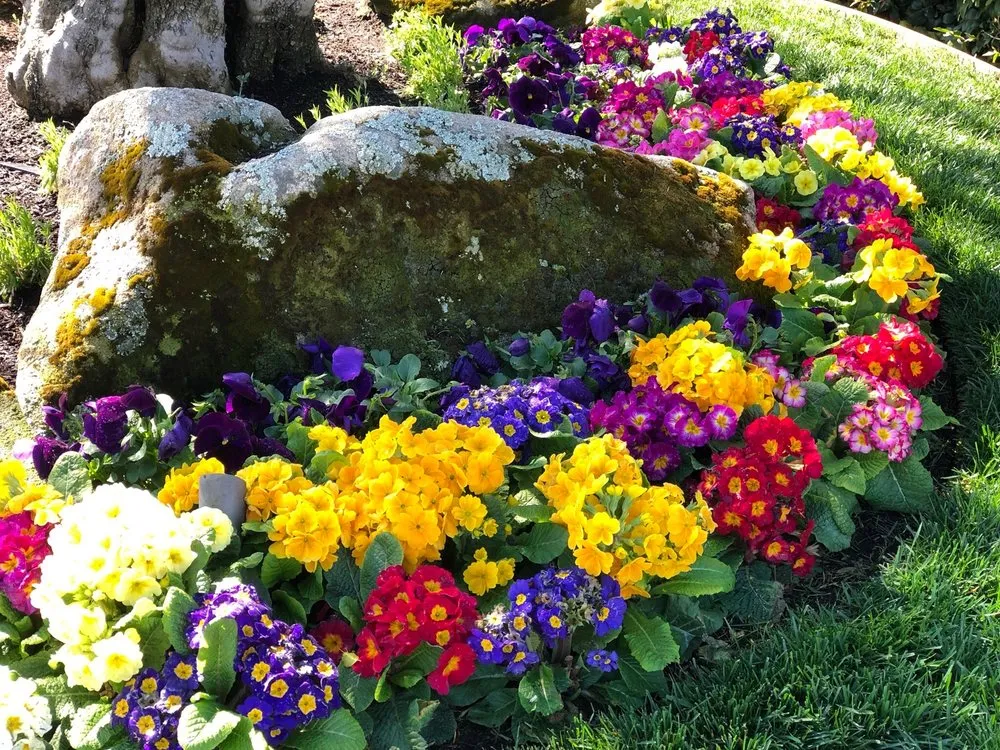 Expert yard maintenance with custom design across Fresno, CA - Webb’s Landscape Maintenance