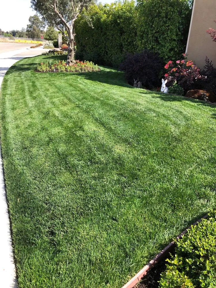 Top-rated garden landscaping for homes in Fresno, CA by Webb’s Landscape Maintenance