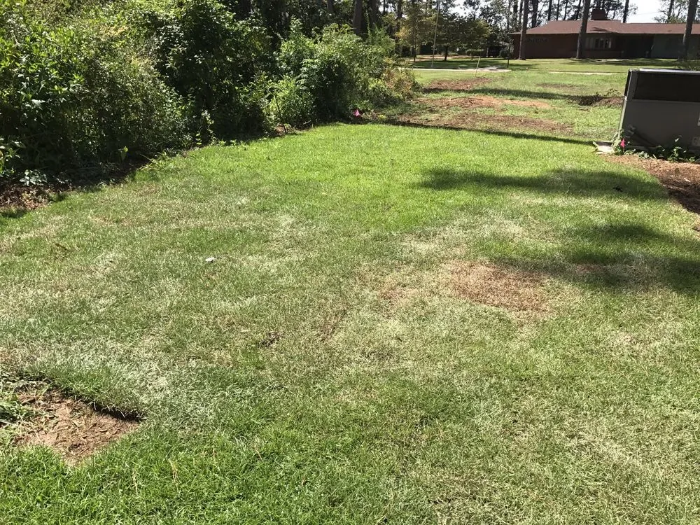 Affordable yard cleanup service experts serving Dawson, GA - Webbs Landscaping and Tree Removal