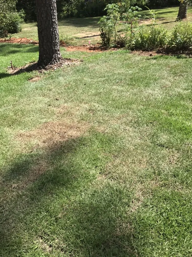 Local lawn mowing service for residential properties in Dawson, GA by Webbs Landscaping and Tree Removal