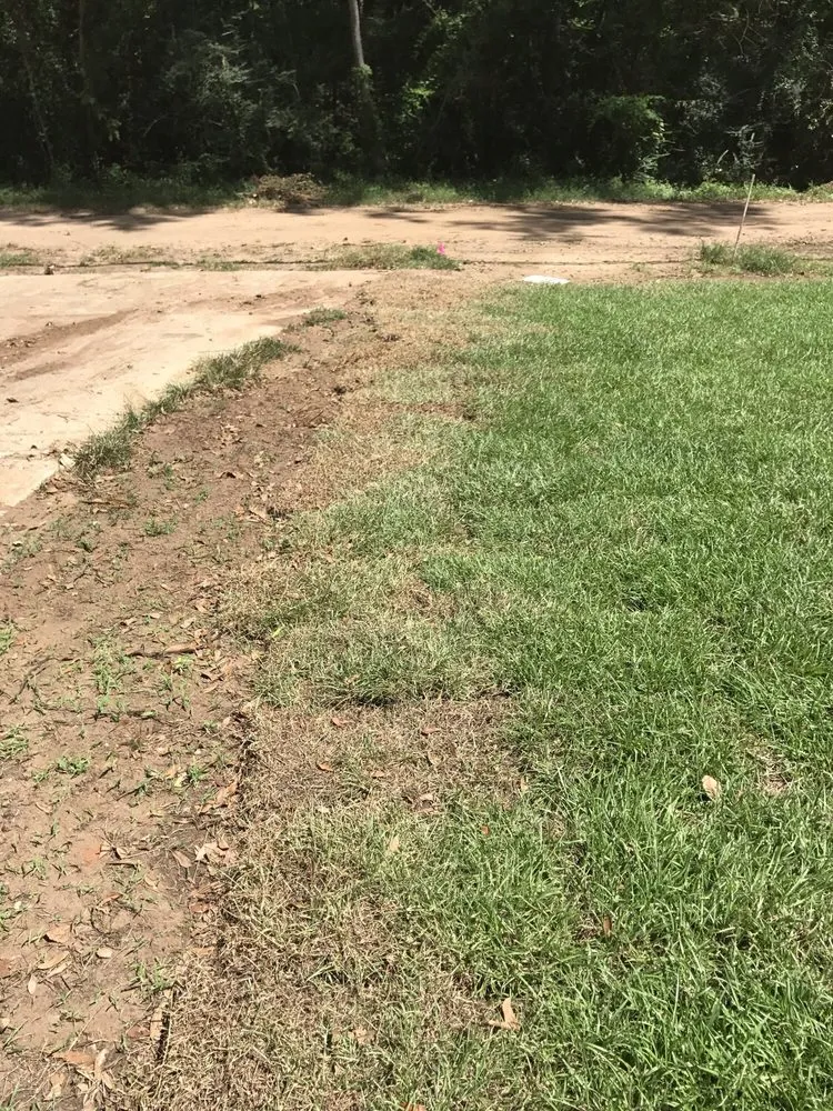 Custom landscaping services in Dawson, GA by Webbs Landscaping and Tree Removal