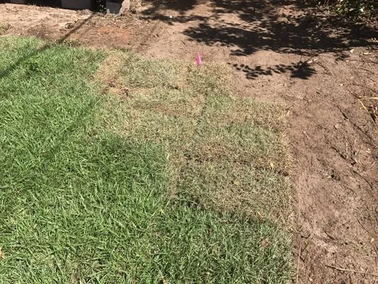 Webbs Landscaping and Tree Removal