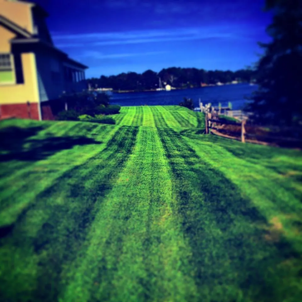 Expert yard maintenance experts serving White Stone, VA - Webb's Lawn Service and Contracting