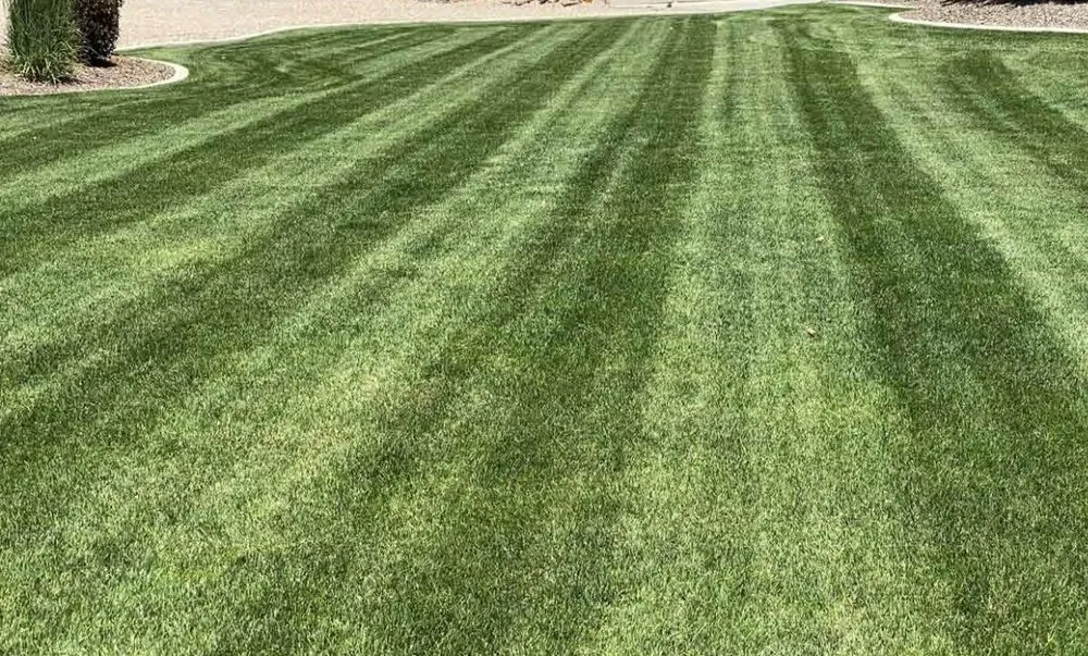 Affordable landscape installation for homes across Hendersonville, TN - Webbs lawncare