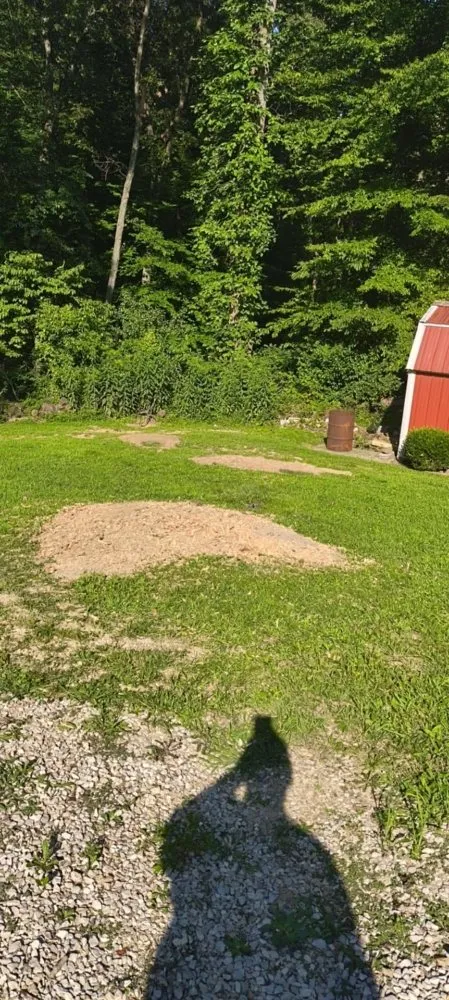 Local residential landscaping in Olive Hill, KY - Webb's Stump Grinding And Removal