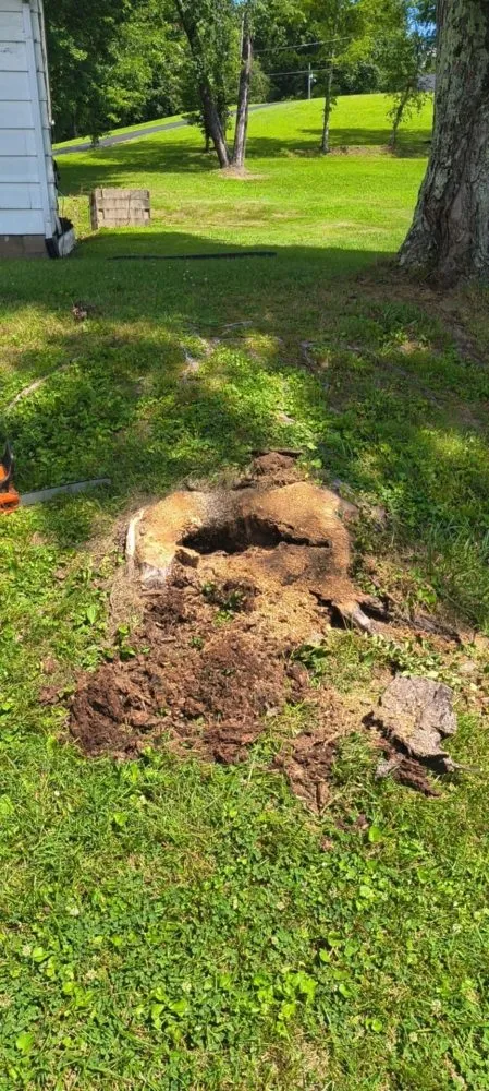 Local landscaping services in Olive Hill, KY by Webb's Stump Grinding And Removal