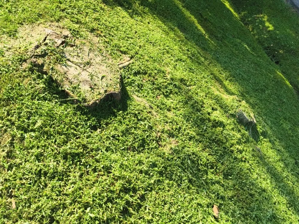 Local landscape installation in Olive Hill, KY by Webb's Stump Grinding And Removal