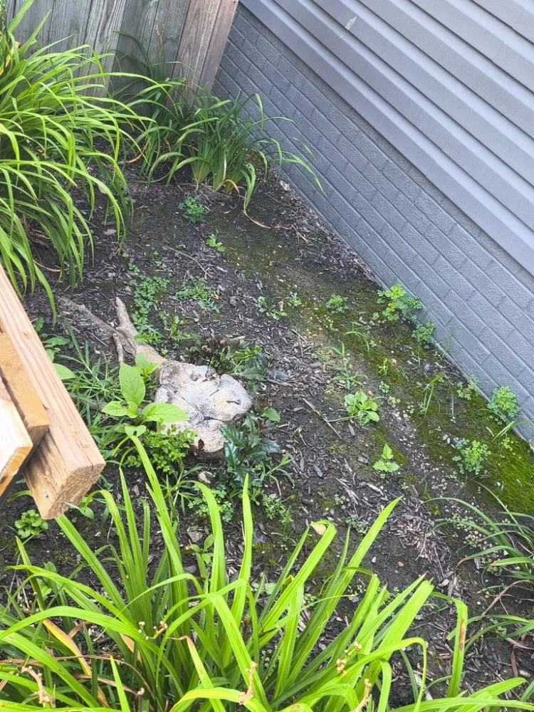 Professional yard cleanup service in Olive Hill, KY by Webb's Stump Grinding And Removal