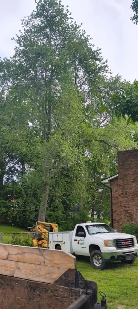 Custom landscape installation near you in Olive Hill, KY by Webb's Stump Grinding And Removal