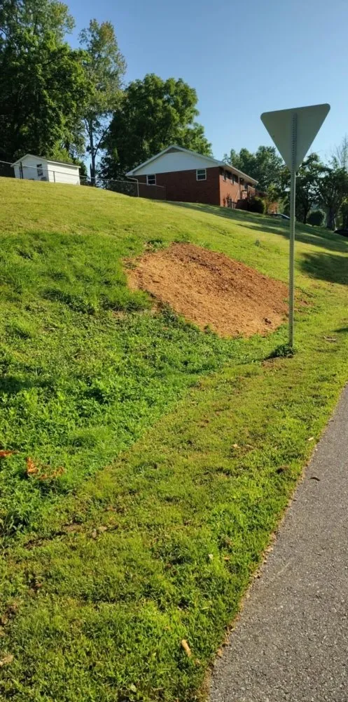 Trusted outdoor landscaping in Olive Hill, KY by Webb's Stump Grinding And Removal