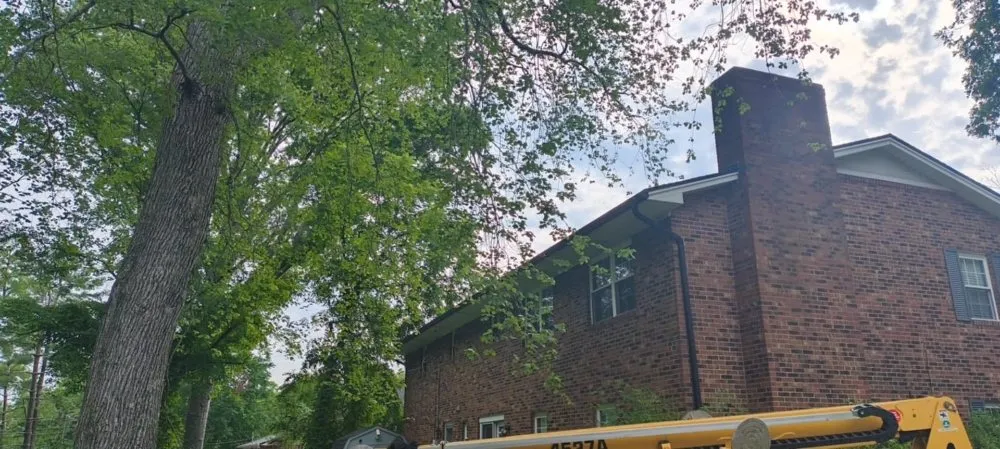 Custom outdoor landscaping for outdoor upgrades in Olive Hill, KY by Webb's Stump Grinding And Removal