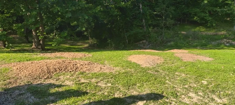 Professional yard maintenance for homes across Olive Hill, KY - Webb's Stump Grinding And Removal