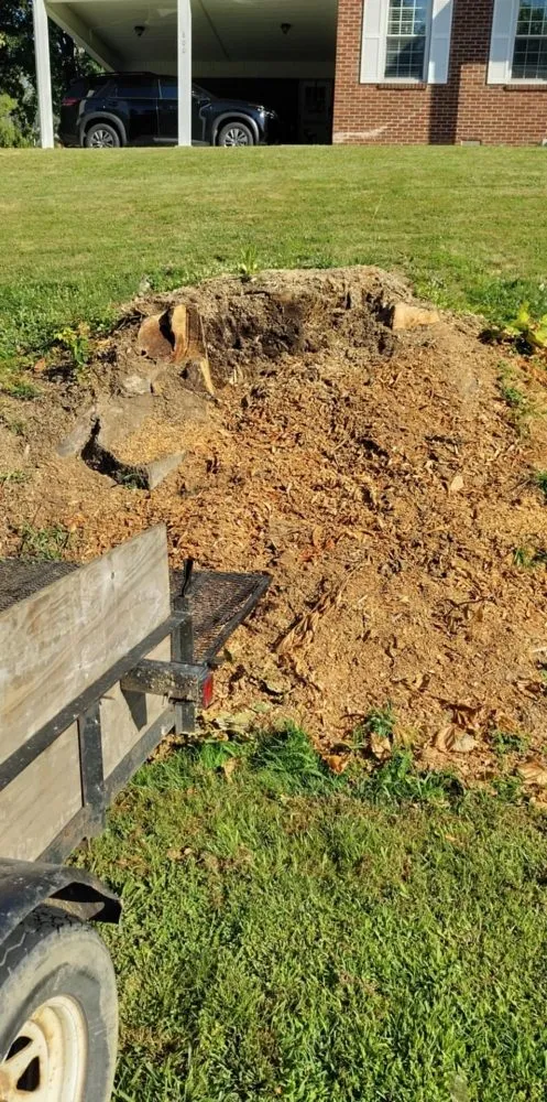 Reliable landscaping services experts serving Olive Hill, KY - Webb's Stump Grinding And Removal