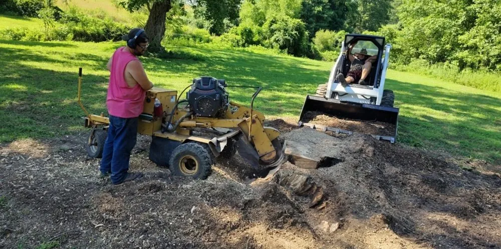 Reliable landscape installation near you across Olive Hill, KY - Webb's Stump Grinding And Removal