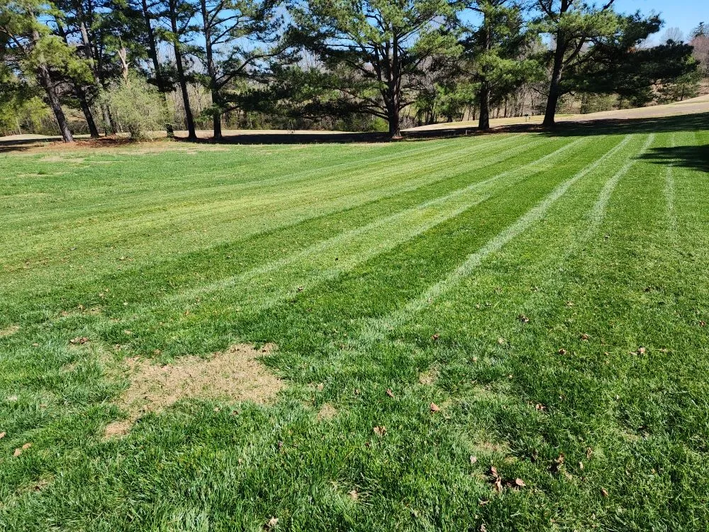 Affordable lawn care service for beautiful yards in Statesville, NC by Weber Lawncare