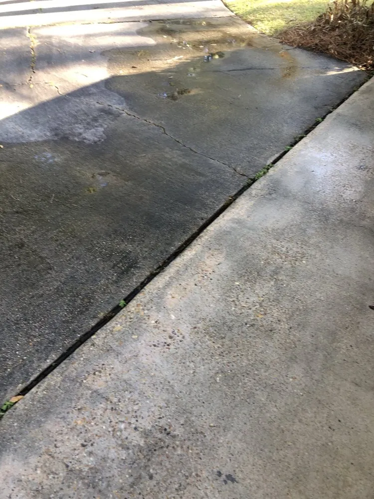 Professional yard cleanup service in Petal, MS - Weber’s Lawn Care