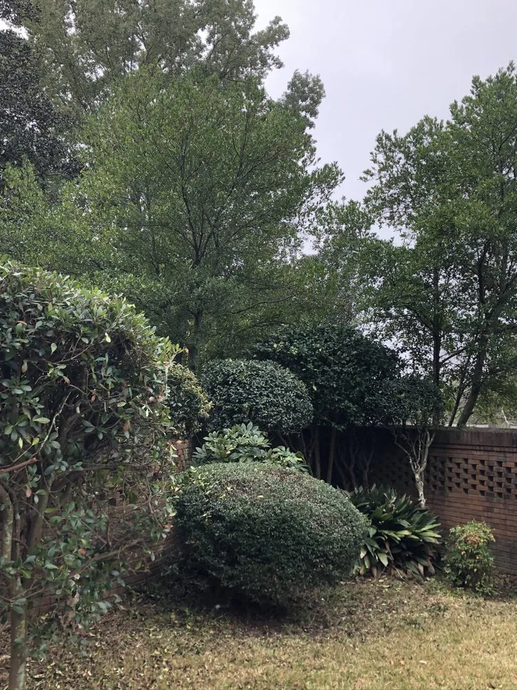 Affordable garden landscaping in Petal, MS - Weber’s Lawn Care