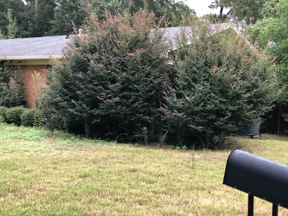 Top-rated landscape design in Petal, MS - Weber’s Lawn Care