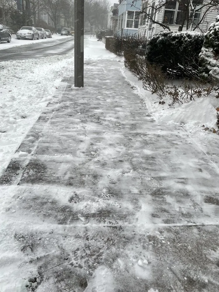 Professional landscaping services for residential properties in Belmont, MA by Weberwelt