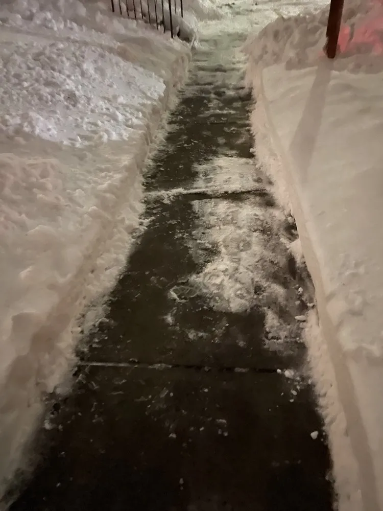 Reliable residential landscaping in Belmont, MA by Weberwelt