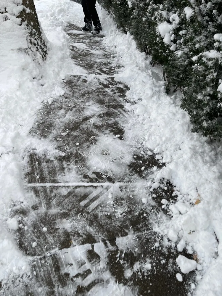 Top-rated lawn mowing service for residential properties in Belmont, MA by Weberwelt