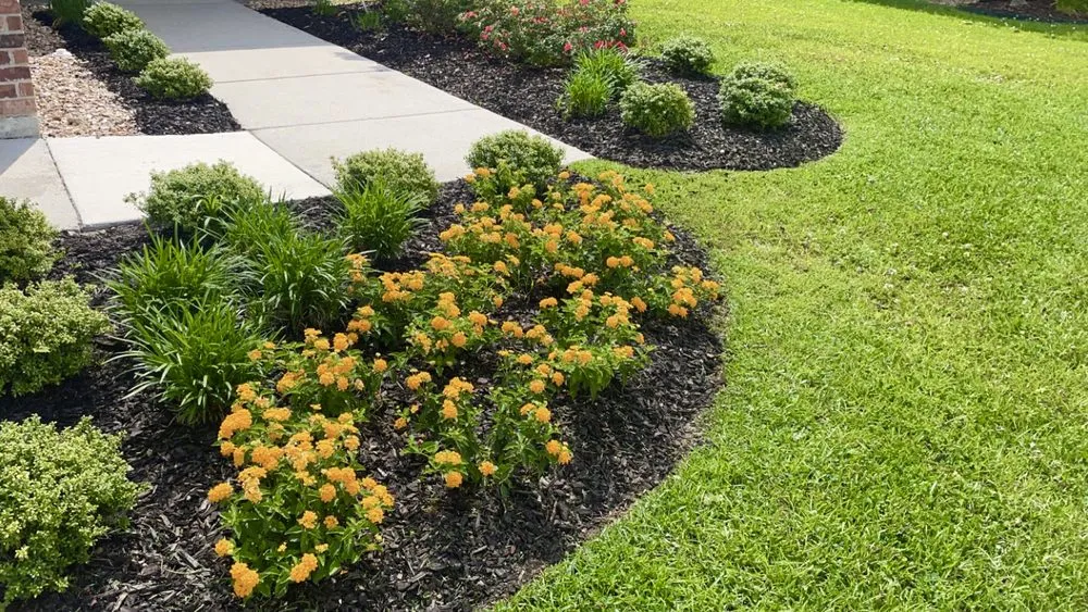 Top-rated landscaping services for outdoor upgrades across Baton Rouge, LA - Webre Landscaping