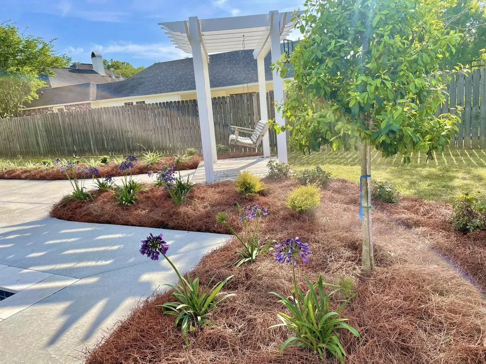 Professional yard maintenance in Baton Rouge, LA by Webre Landscaping