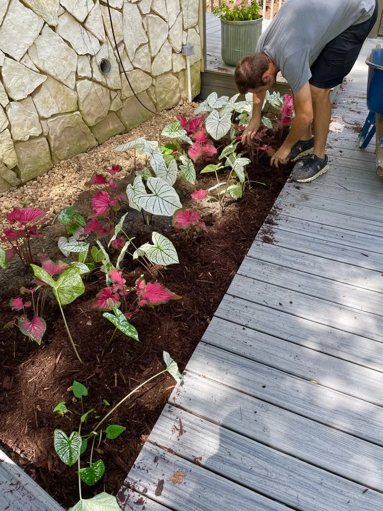 Expert landscape installation in Baton Rouge, LA - Webre Landscaping