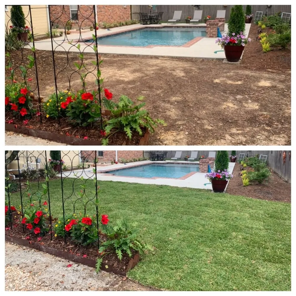 Top-rated outdoor landscaping in Baton Rouge, LA by Webre Landscaping