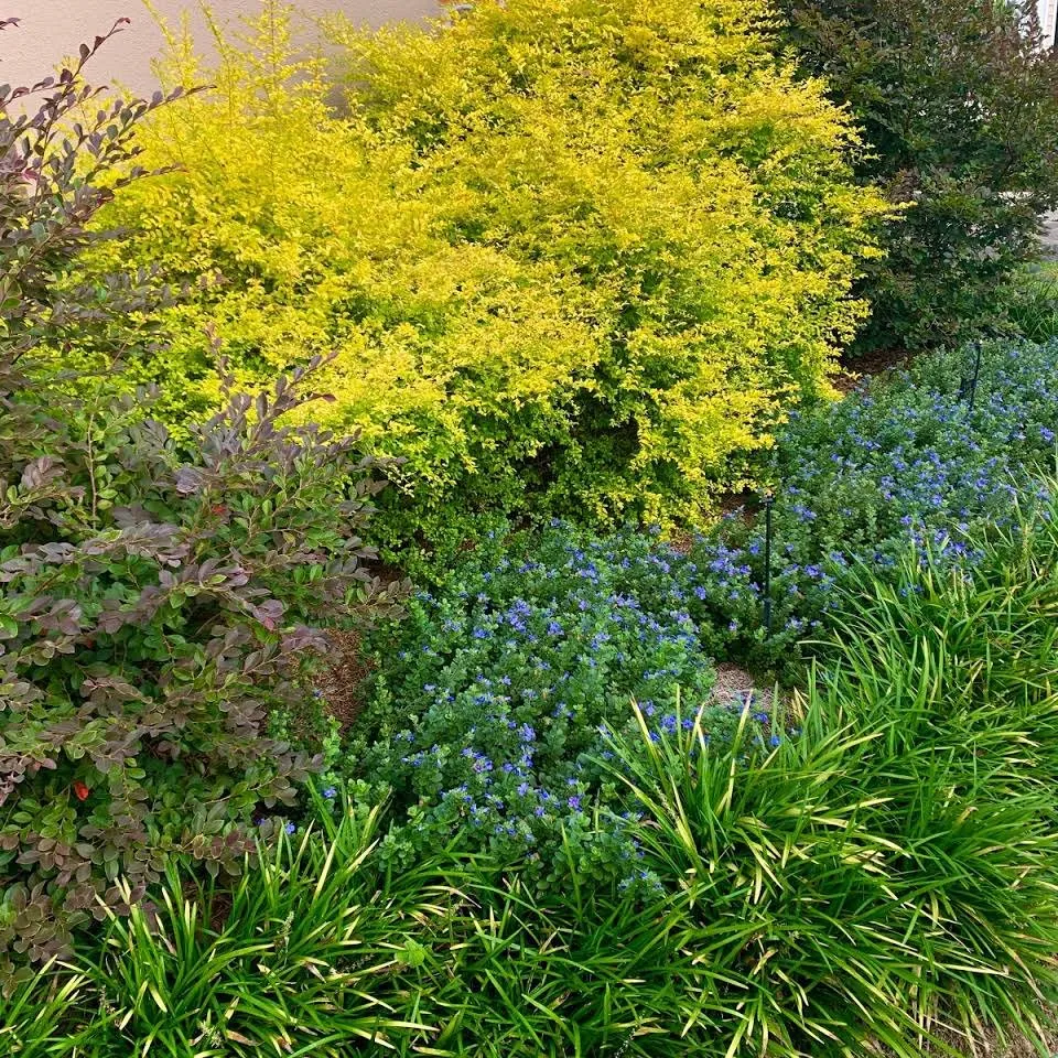 Expert landscaping services in Baton Rouge, LA by Webre Landscaping