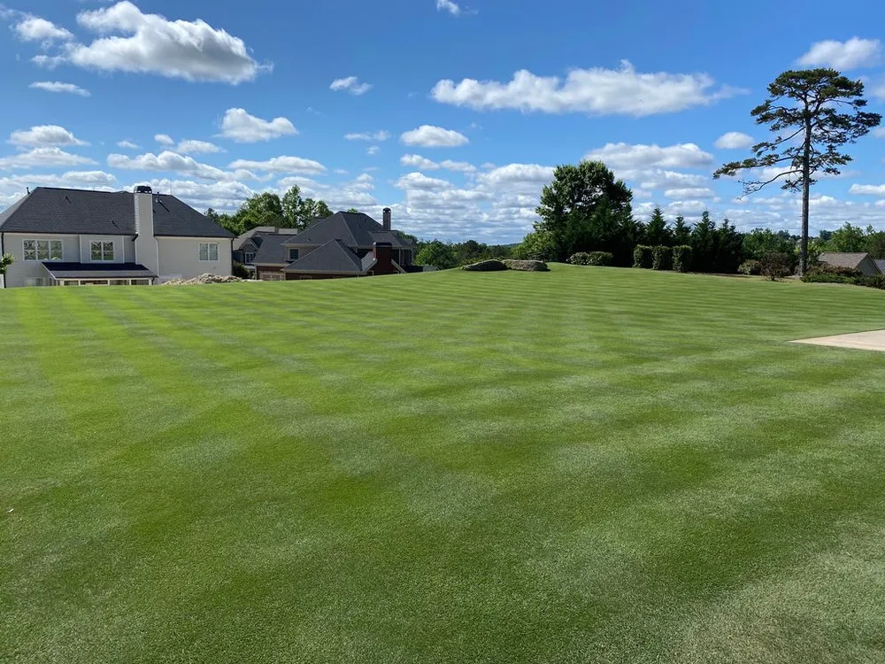 Reliable landscaping services for year-round maintenance across Kentwood, LA - Webre's Lawn Care