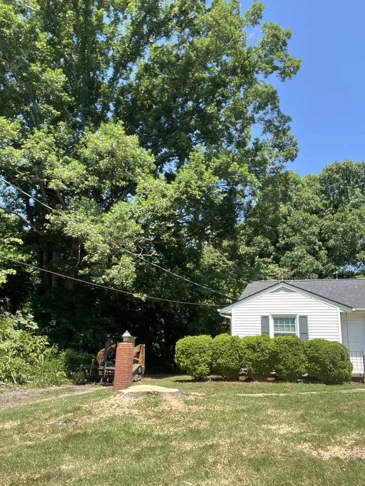 Reliable yard cleanup service in Greensboro, NC - Webster Landscapes