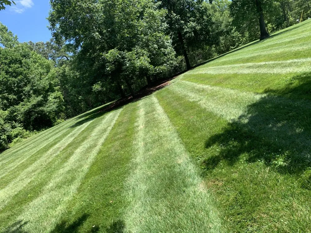 Custom lawn care service for beautiful yards in Greensboro, NC by Webster Landscapes