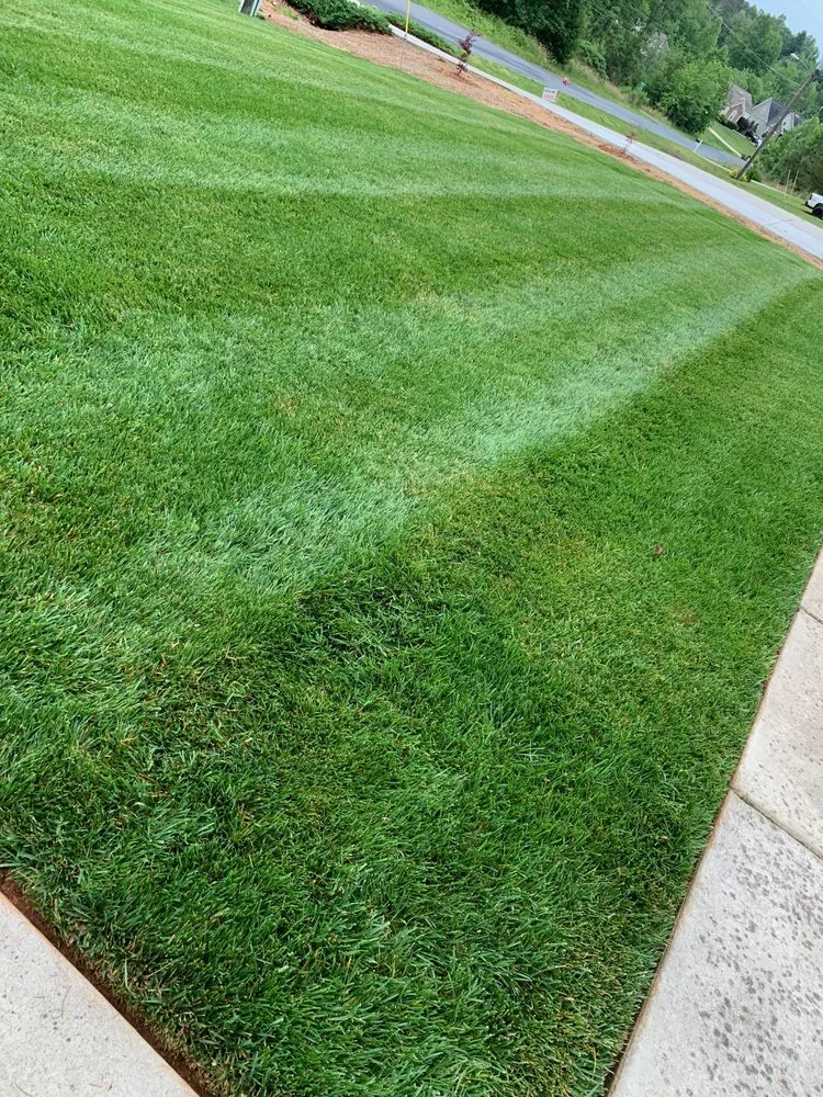 Custom outdoor landscaping near you in Greensboro, NC by Webster Landscapes