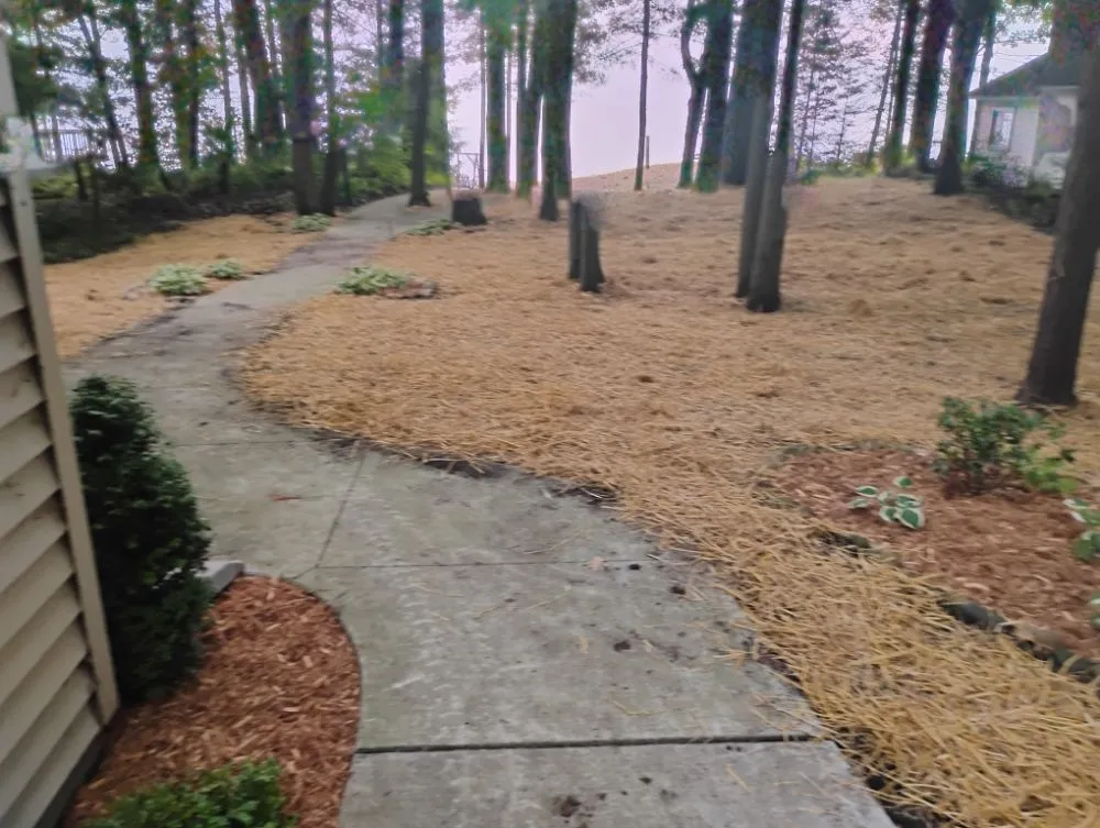 Affordable landscape installation experts serving Saginaw, MI - Websters